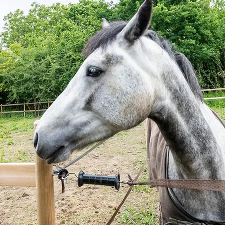 Le Clos Des Chevaux - Duplex Chic Avec Jardin * La Celle-sur-Morin